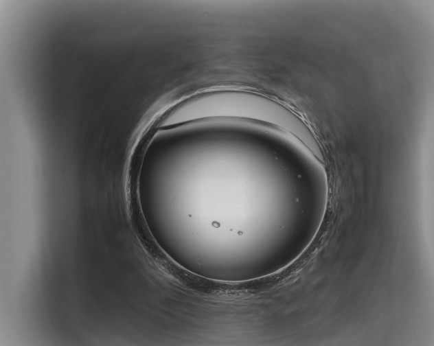 X0000115660296200911191011