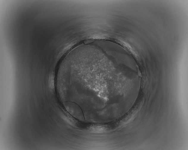 X0000115660299200911191011