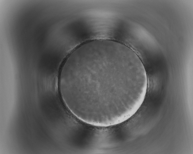 X0000115660301200911191011