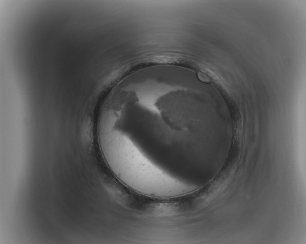 X0000115660303200911191011
