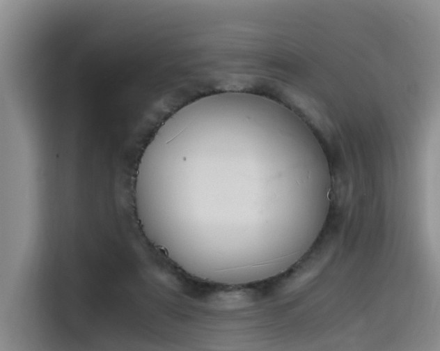 X0000115660307200911191011