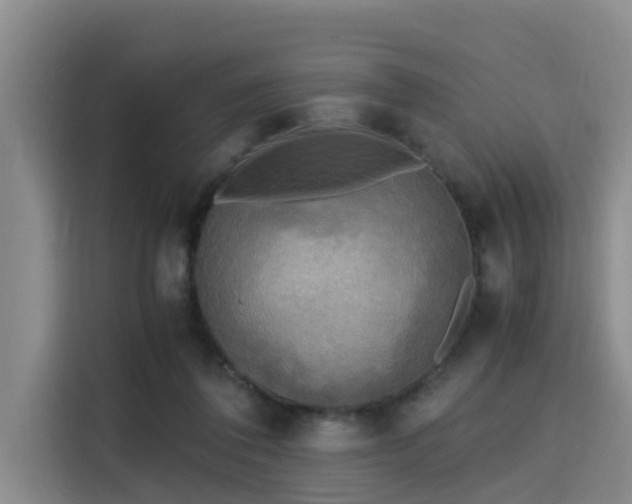 X0000115660308200911191011