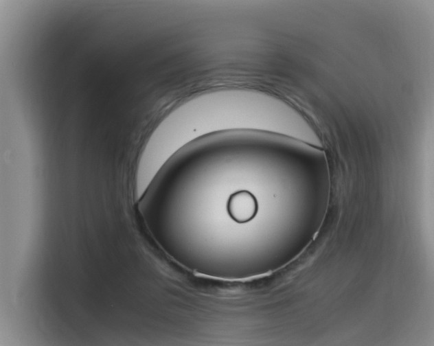 X0000115660309200911191011