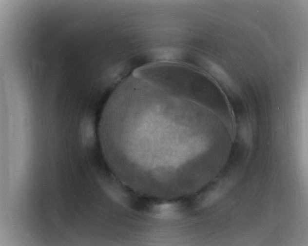 X0000115660312200911191011