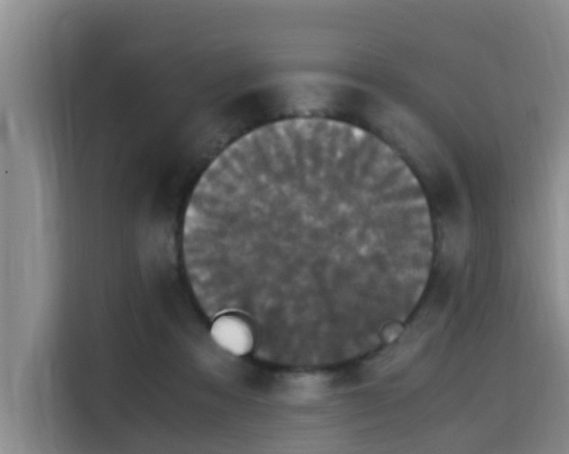 X0000115660313200911191011