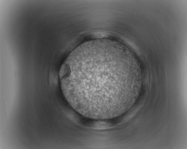X0000115660315200911191010