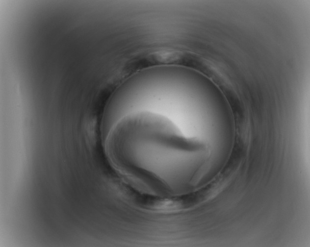 X0000115660319200911191010