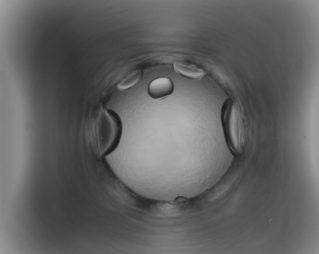X0000115660325200911191010