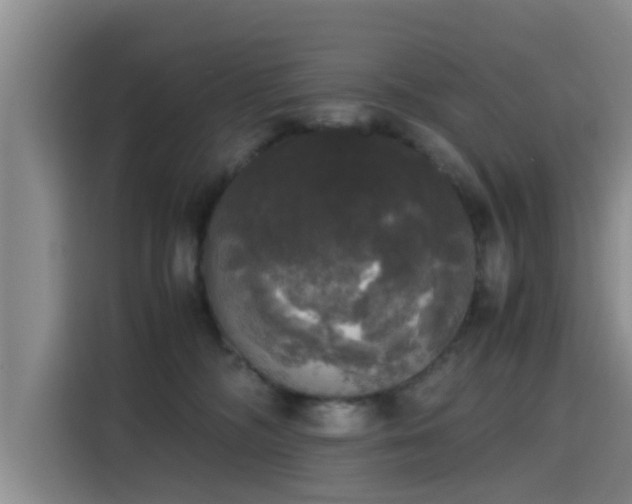 X0000115660326200911191010