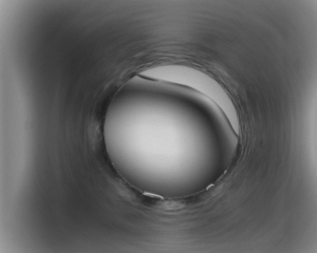 X0000115660327200911191010