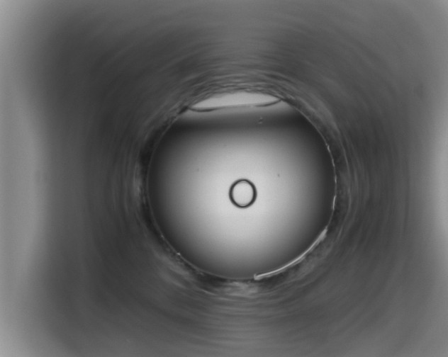 X0000115660328200911191010