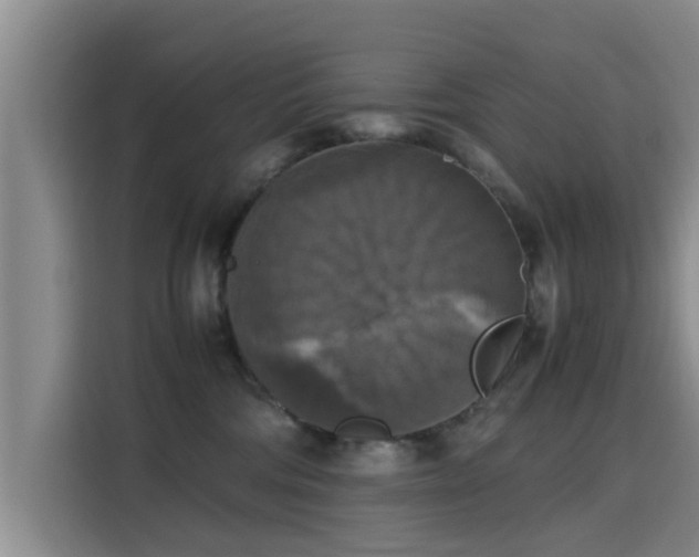 X0000115660330200911191010