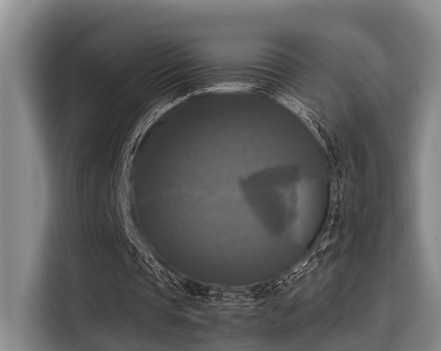 X0000115660337200911191010