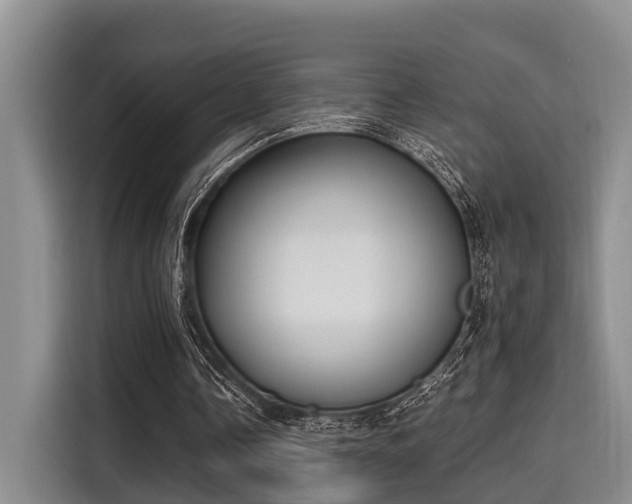 X0000115660338200911191010