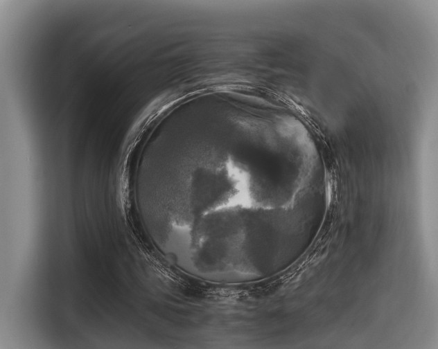 X0000115660339200911191010