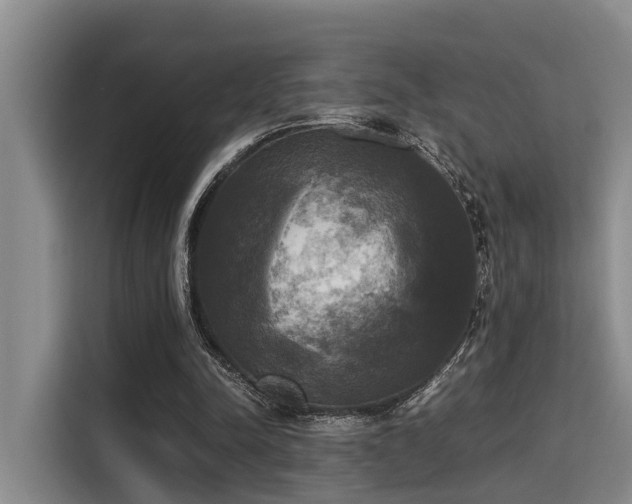X0000115660342200911191010