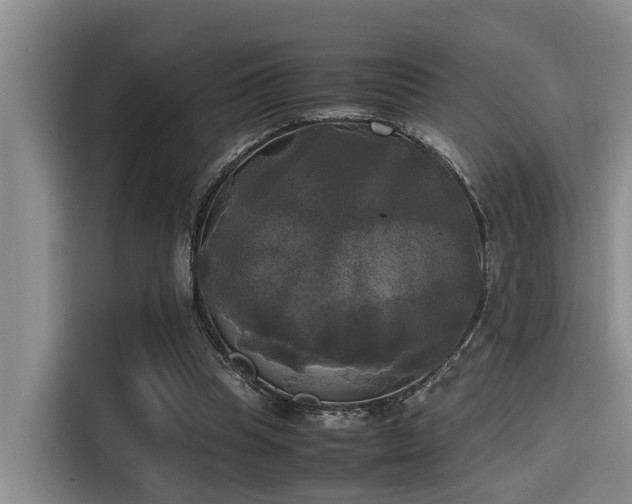X0000115660345200911191010