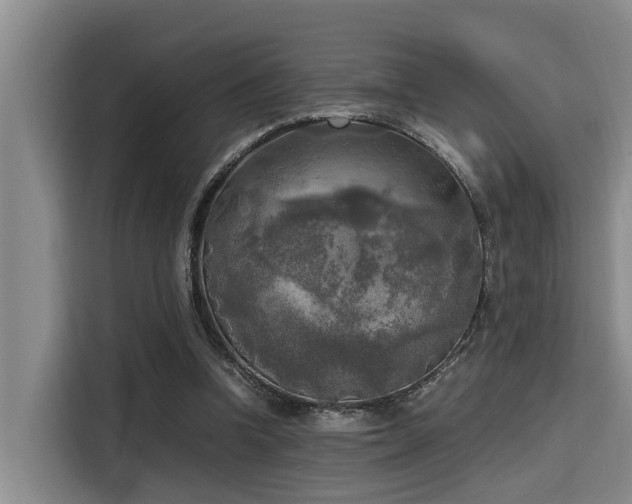 X0000115660346200911191010