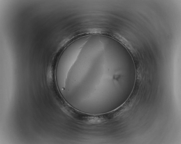 X0000115660347200911191010