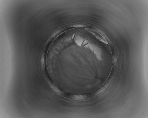 X0000115660349200911191010