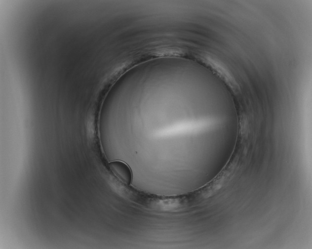 X0000115660353200911191010