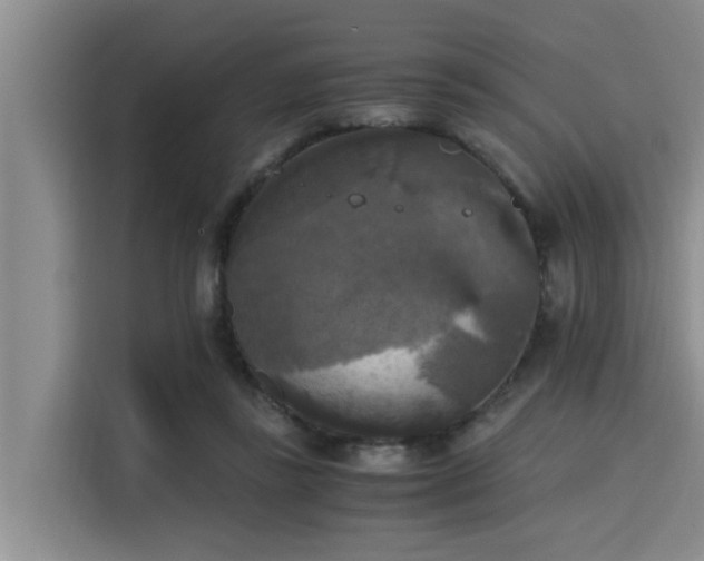 X0000115660355200911191010