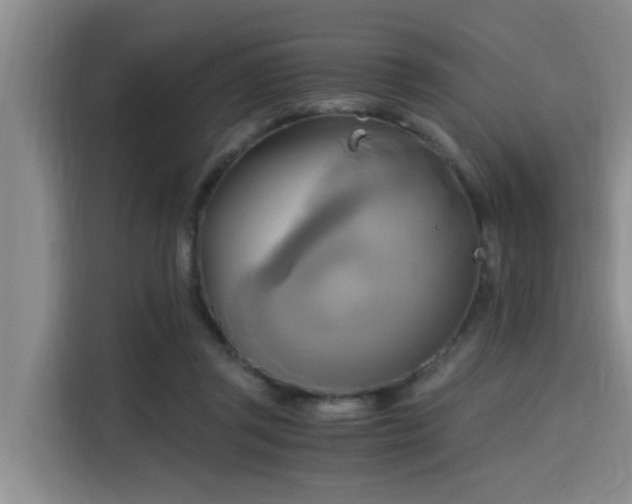 X0000115660357200911191010