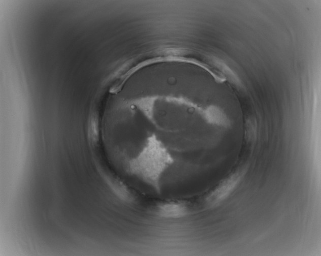 X0000115660358200911191010
