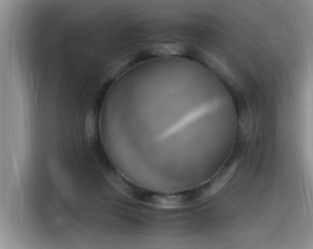 X0000115660359200911191010