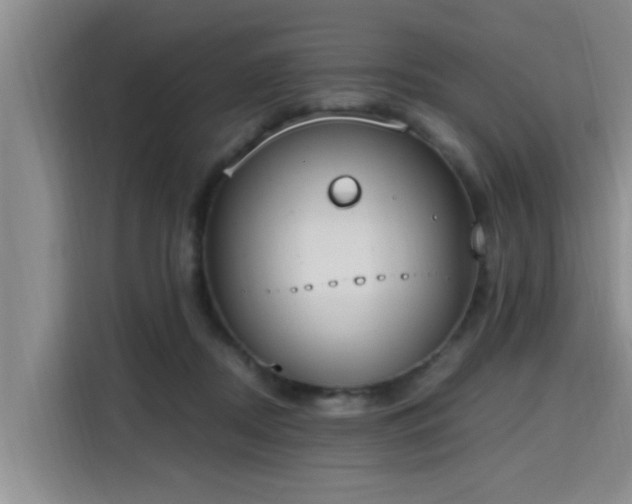 X0000115660362200911191010