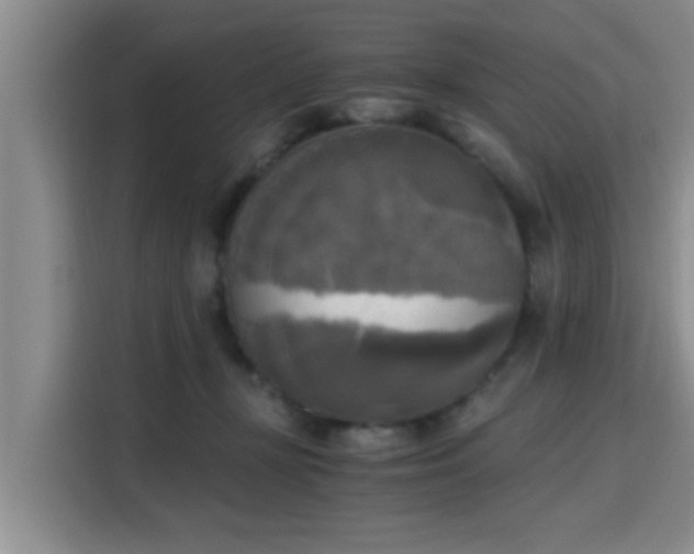 X0000115660367200911191010