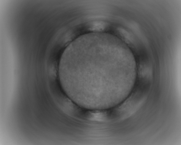 X0000115660370200911191010