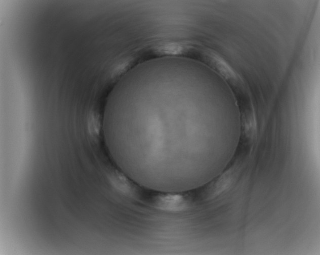 X0000115660374200911191010