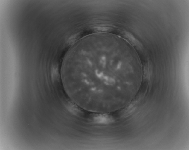 X0000115660377200911191010