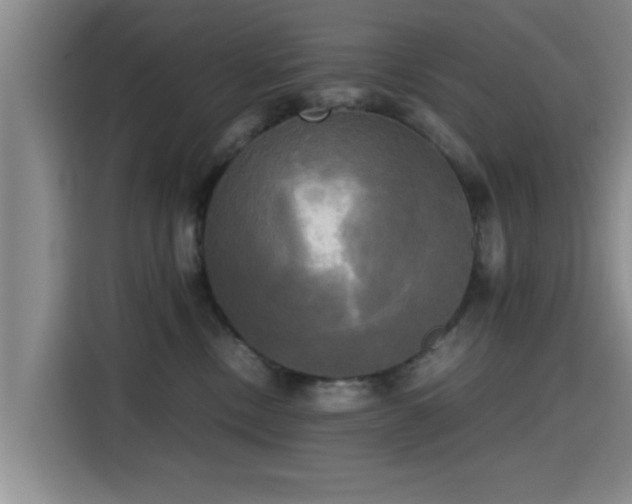 X0000115660378200911191010