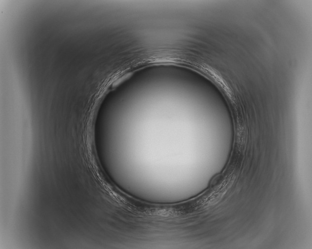 X0000115660385200911191010