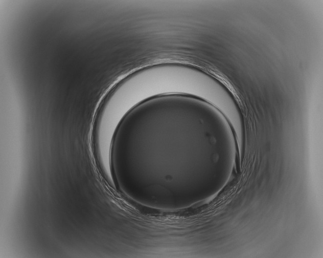 X0000115660387200911191010