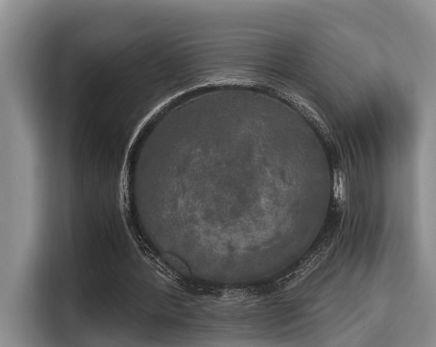 X0000115660388200911191010