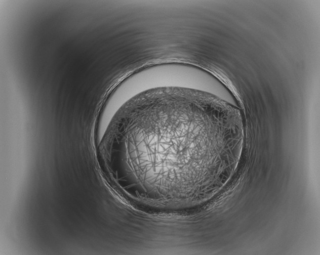 X0000115660389200911191010