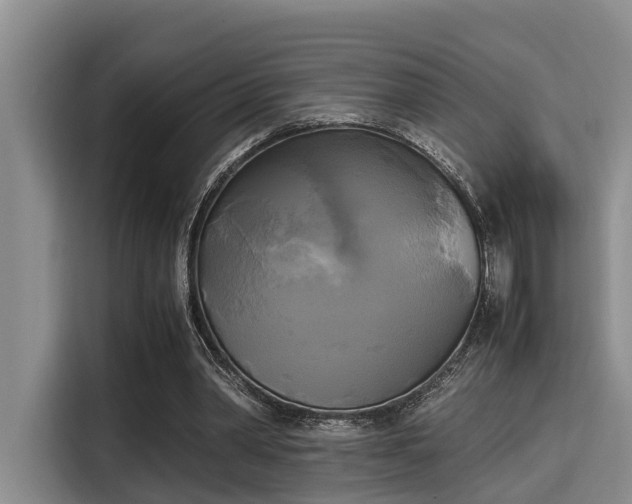 X0000115660390200911191010