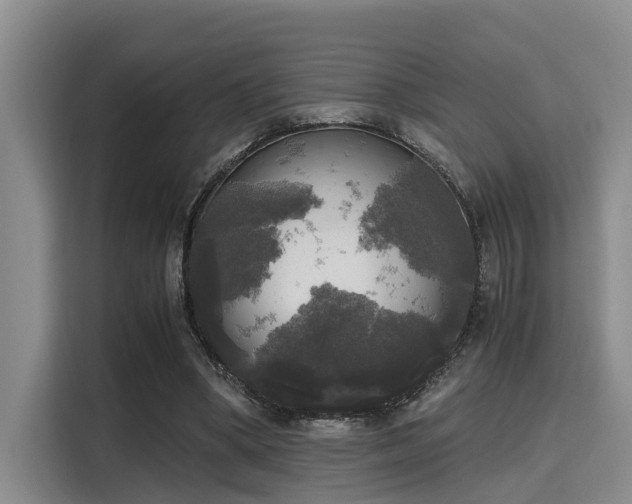 X0000115660394200911191009