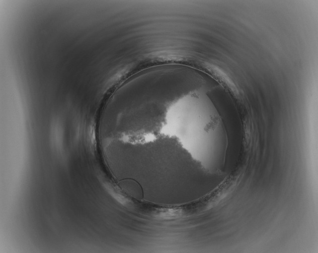 X0000115660398200911191009