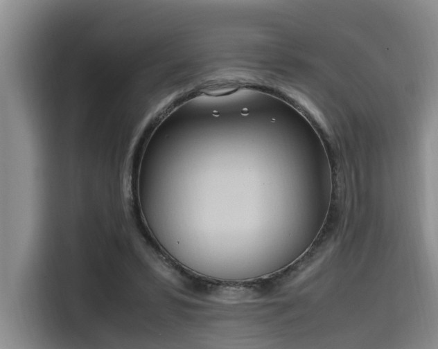 X0000115660399200911191009