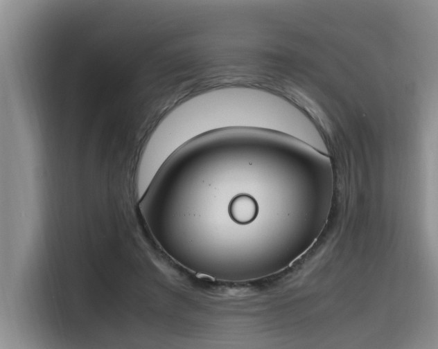 X0000115660401200911191009