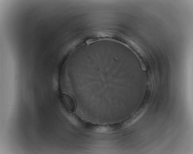 X0000115660402200911191009