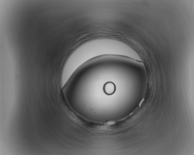 X0000115660409200911191009