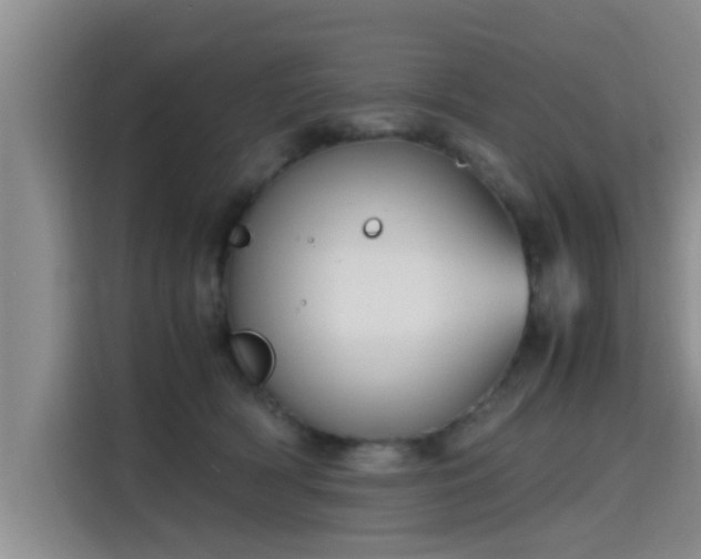 X0000115660418200911191009