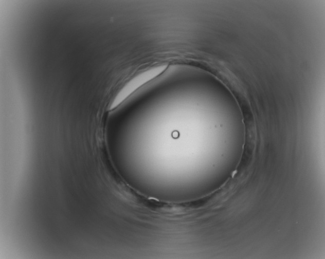 X0000115660419200911191009