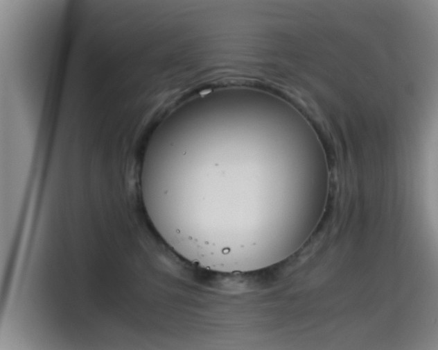 X0000115660423200911191009