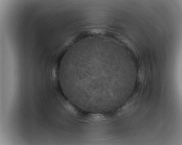 X0000115660424200911191009